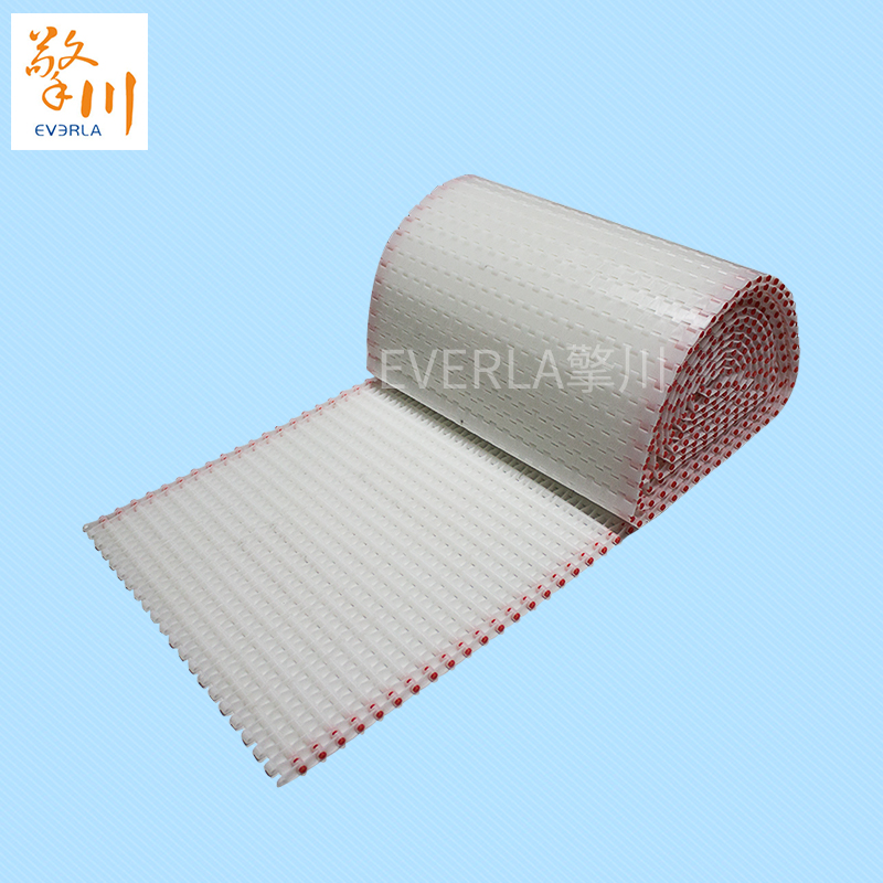 鏈板<a href='http://wxnic.cn/shusongdai/' target='_blank'><u>輸送帶</u></a>定制