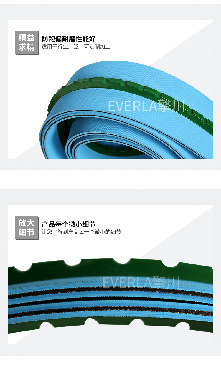雙面藍色加導條片基帶