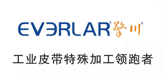 <a href='http://wxnic.cn/' target='_blank'><u>工業(yè)皮帶</u></a>